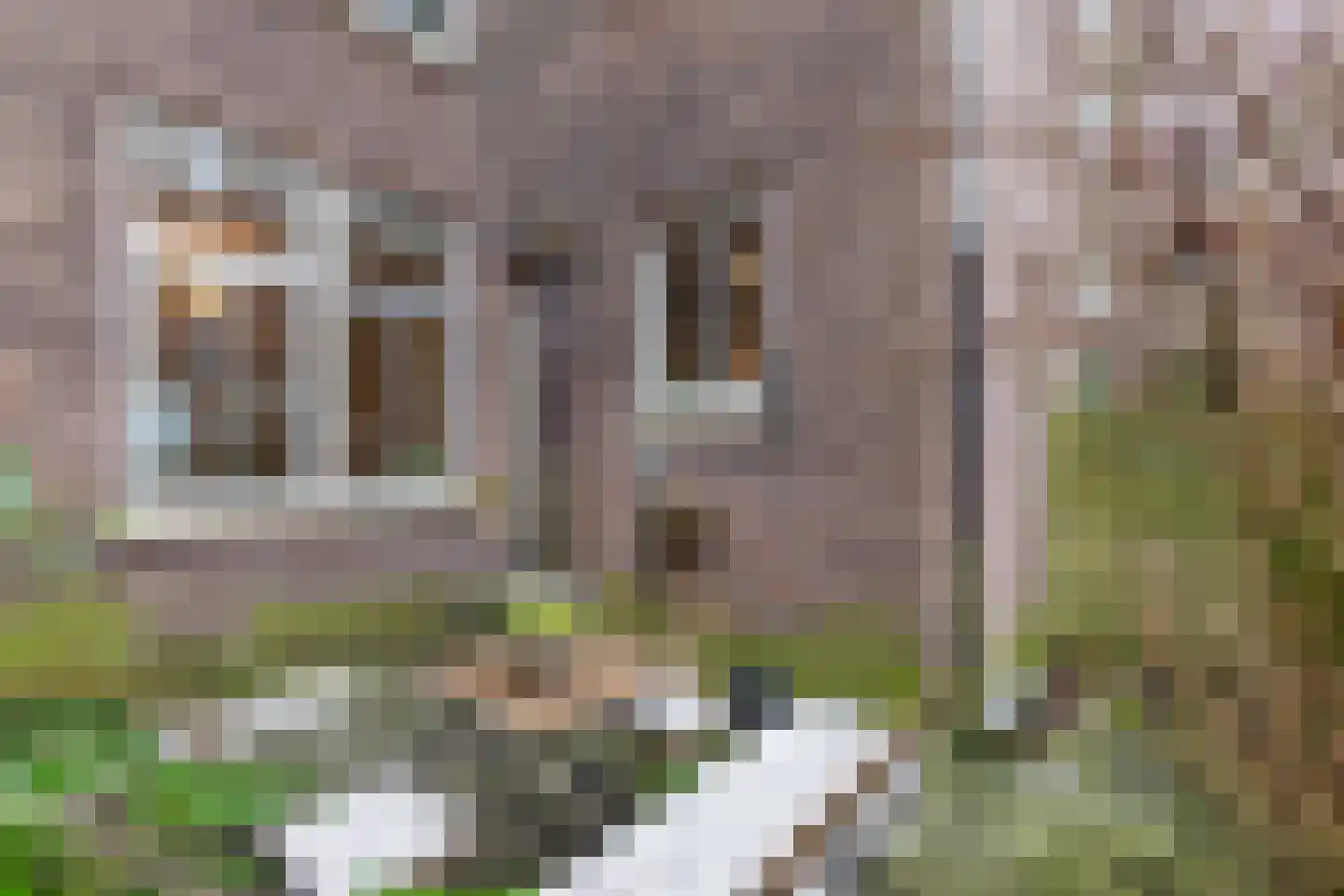 Van Houweningenstraat 80 3 Amsterdam thumbnail 21