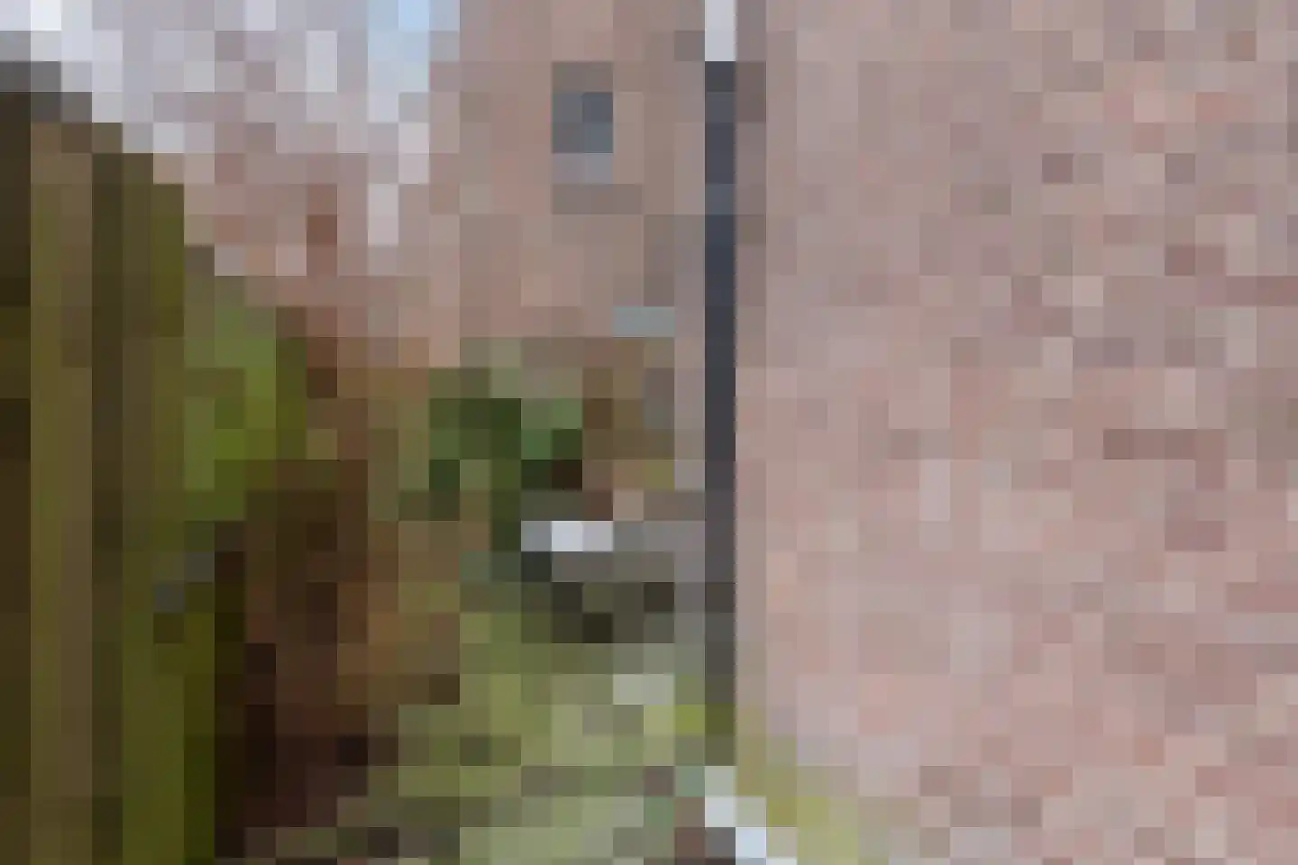 Van Houweningenstraat 80 3 Amsterdam thumbnail 23