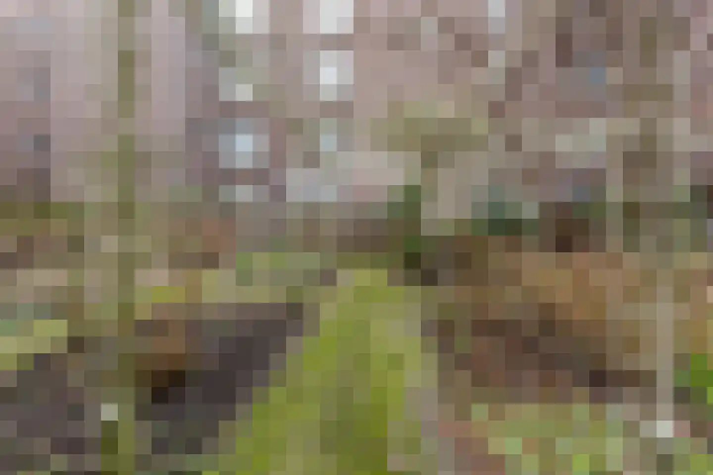 Van Houweningenstraat 80 3 Amsterdam thumbnail 24
