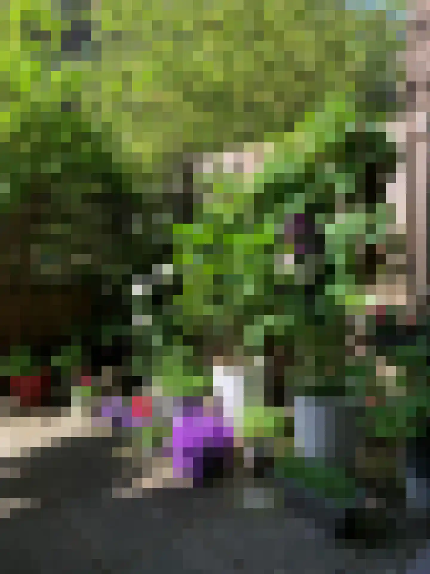 Van Houweningenstraat 80 3 Amsterdam thumbnail 28