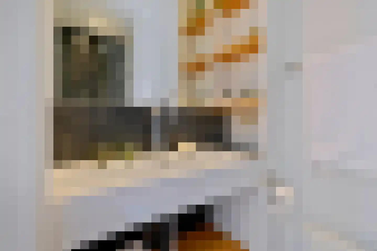Van Houweningenstraat 82 3 Amsterdam thumbnail 17