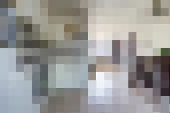 van Hovedreef 13 Rucphen thumbnail 12
