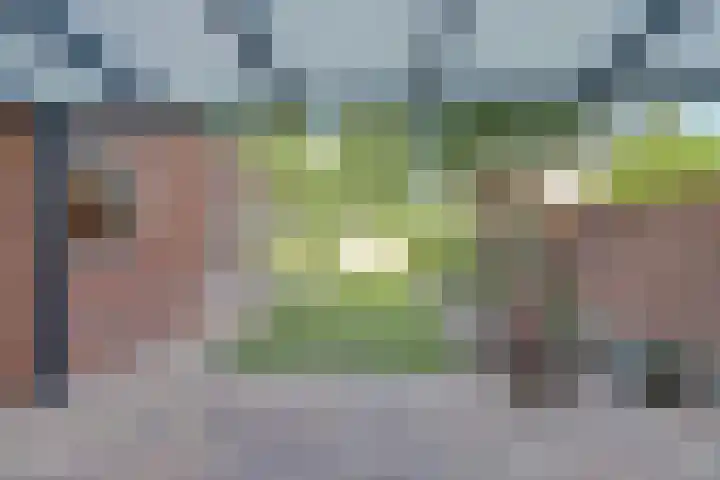 van Hovedreef 13 Rucphen thumbnail 23