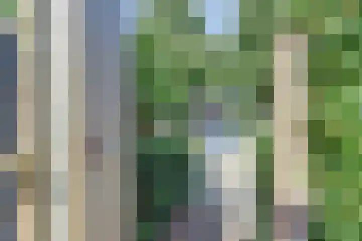 van Hovedreef 13 Rucphen thumbnail 25