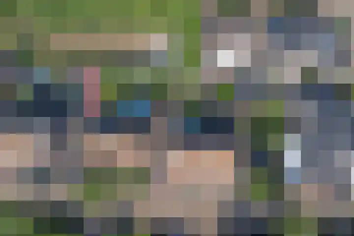 van Hovedreef 13 Rucphen thumbnail 34