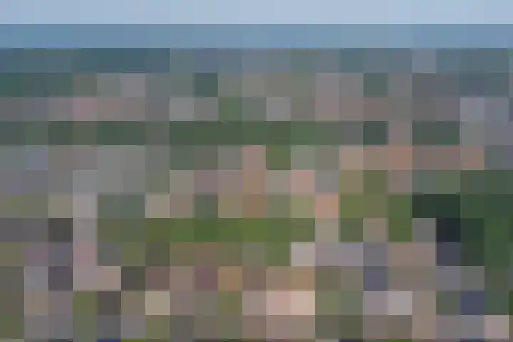 van Hovedreef 13 Rucphen thumbnail 35