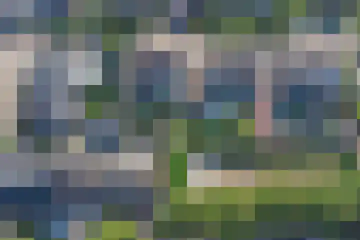 van Hovedreef 13 Rucphen thumbnail 38