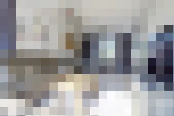 van Hovedreef 13 Rucphen thumbnail 4