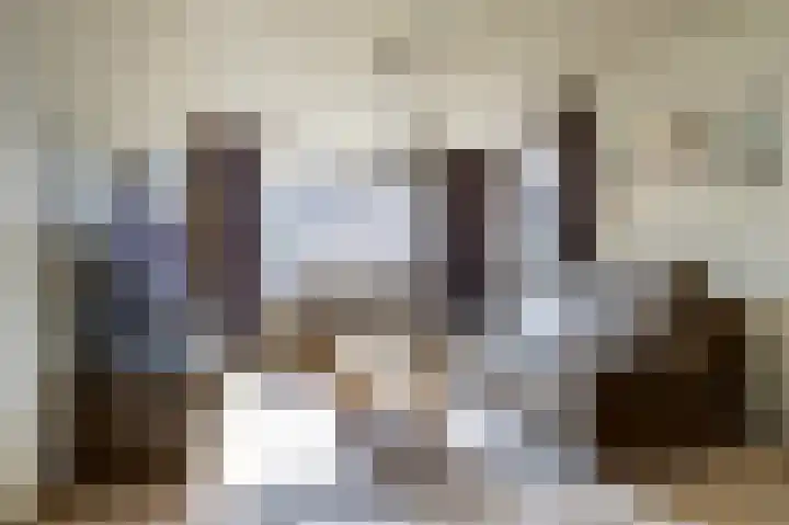 van Hovedreef 13 Rucphen thumbnail 6