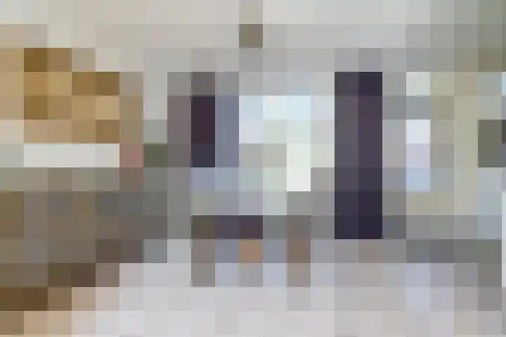 van Hovedreef 13 Rucphen thumbnail 7