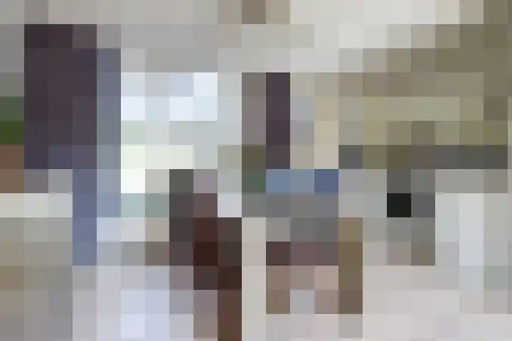 van Hovedreef 13 Rucphen thumbnail 8