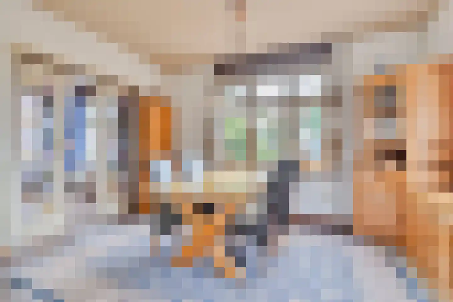 van Hövellstraat 20 Helden thumbnail 19