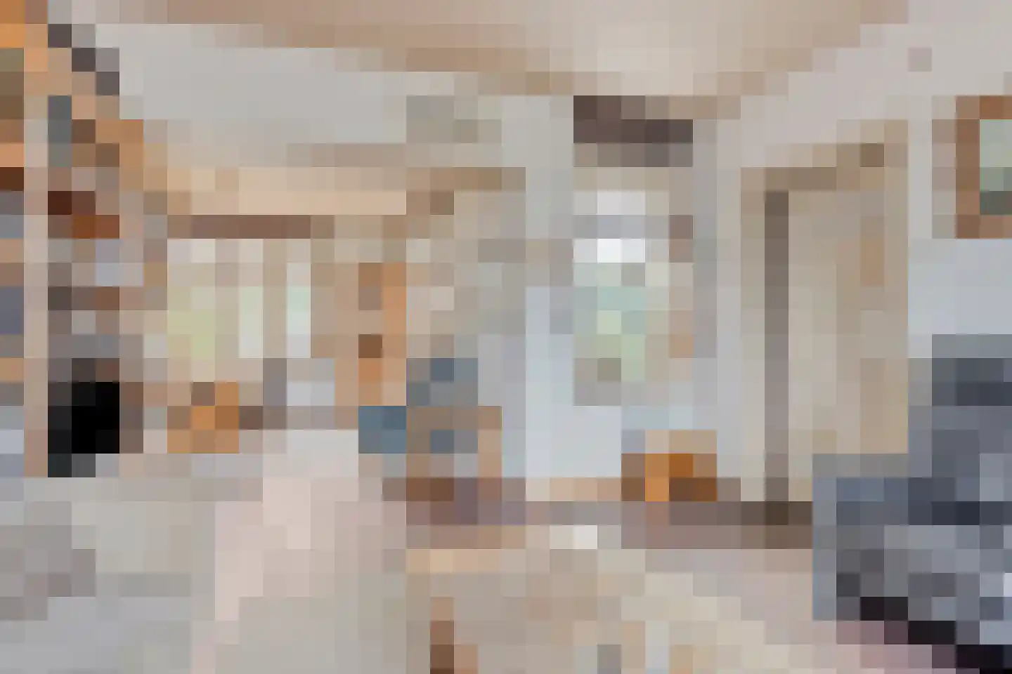 van Hövellstraat 20 Helden thumbnail 22