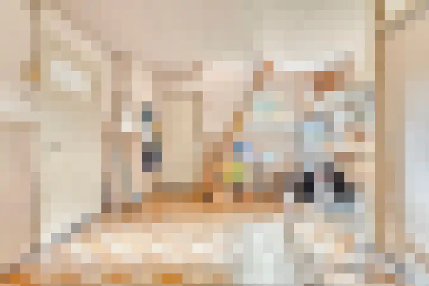 van Hövellstraat 20 Helden thumbnail 43