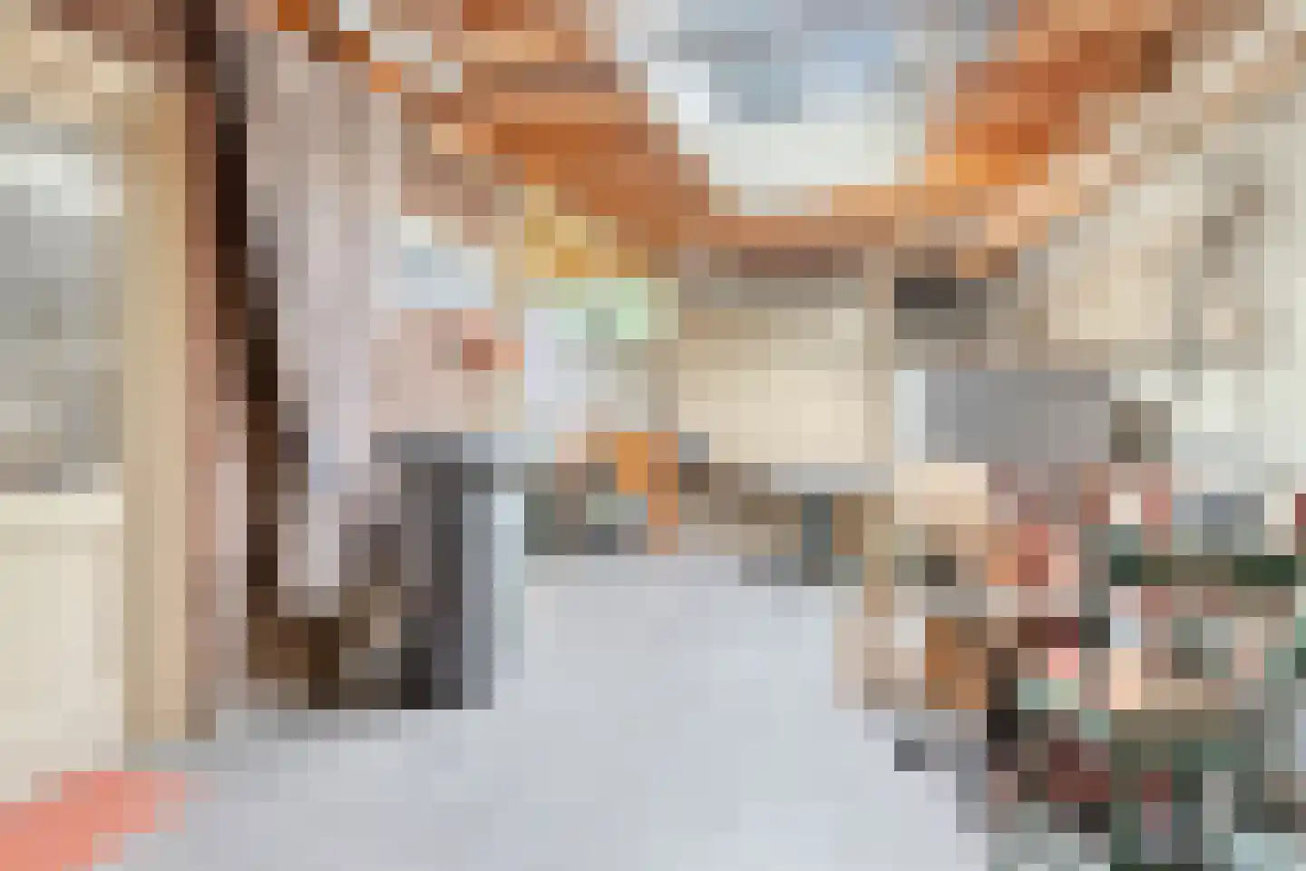 van Hövellstraat 20 Helden thumbnail 45