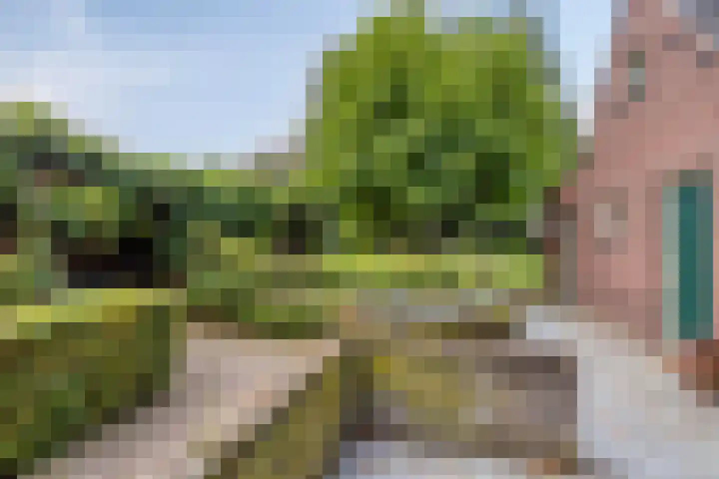 van Hövellstraat 20 Helden thumbnail 50