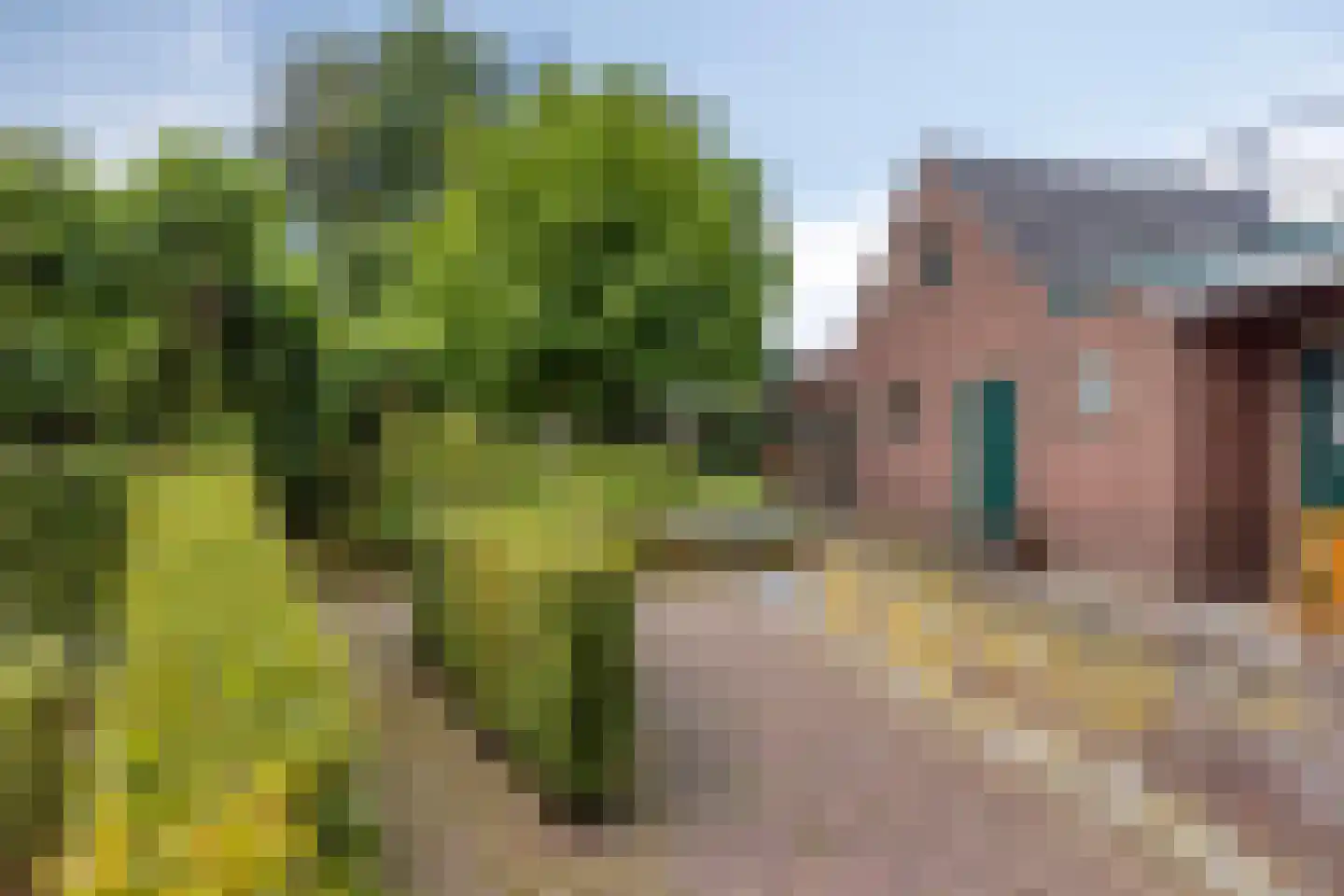 van Hövellstraat 20 Helden thumbnail 52