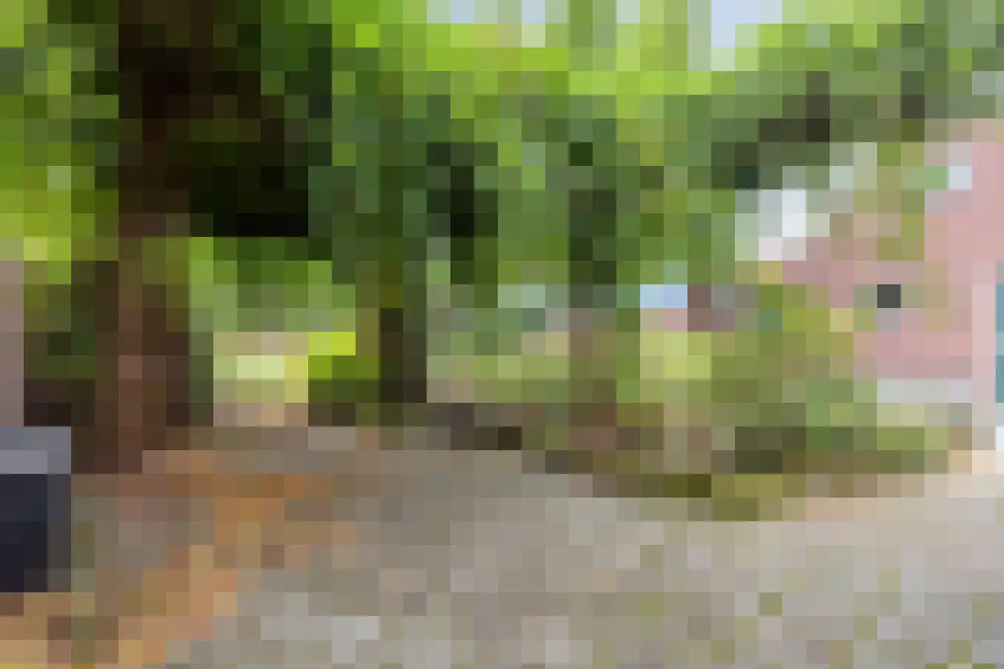 van Hövellstraat 20 Helden thumbnail 53