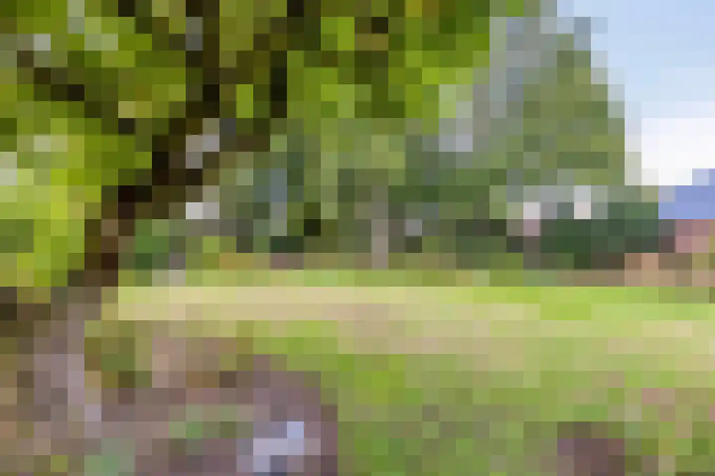 van Hövellstraat 20 Helden thumbnail 54