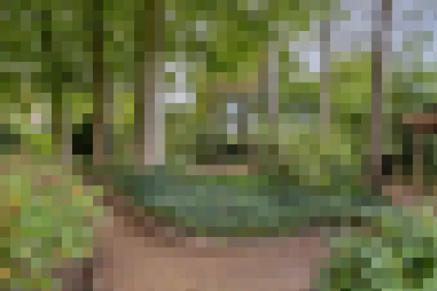 van Hövellstraat 20 Helden thumbnail 58