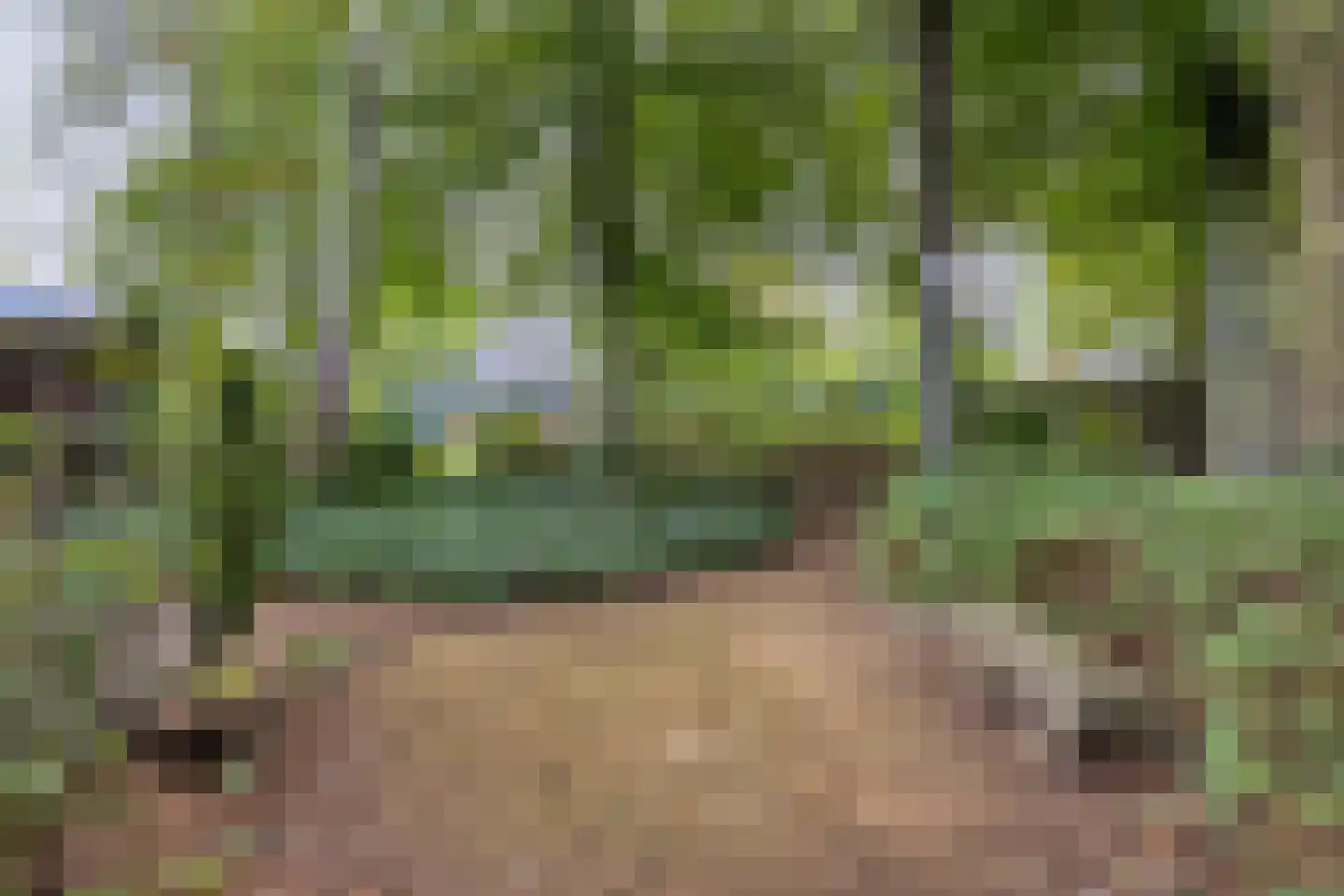 van Hövellstraat 20 Helden thumbnail 59