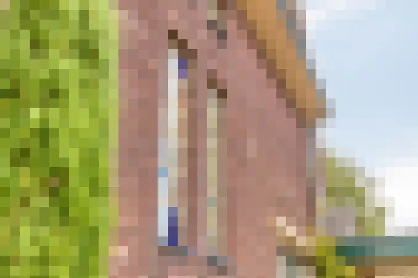 van Hövellstraat 20 Helden thumbnail 6