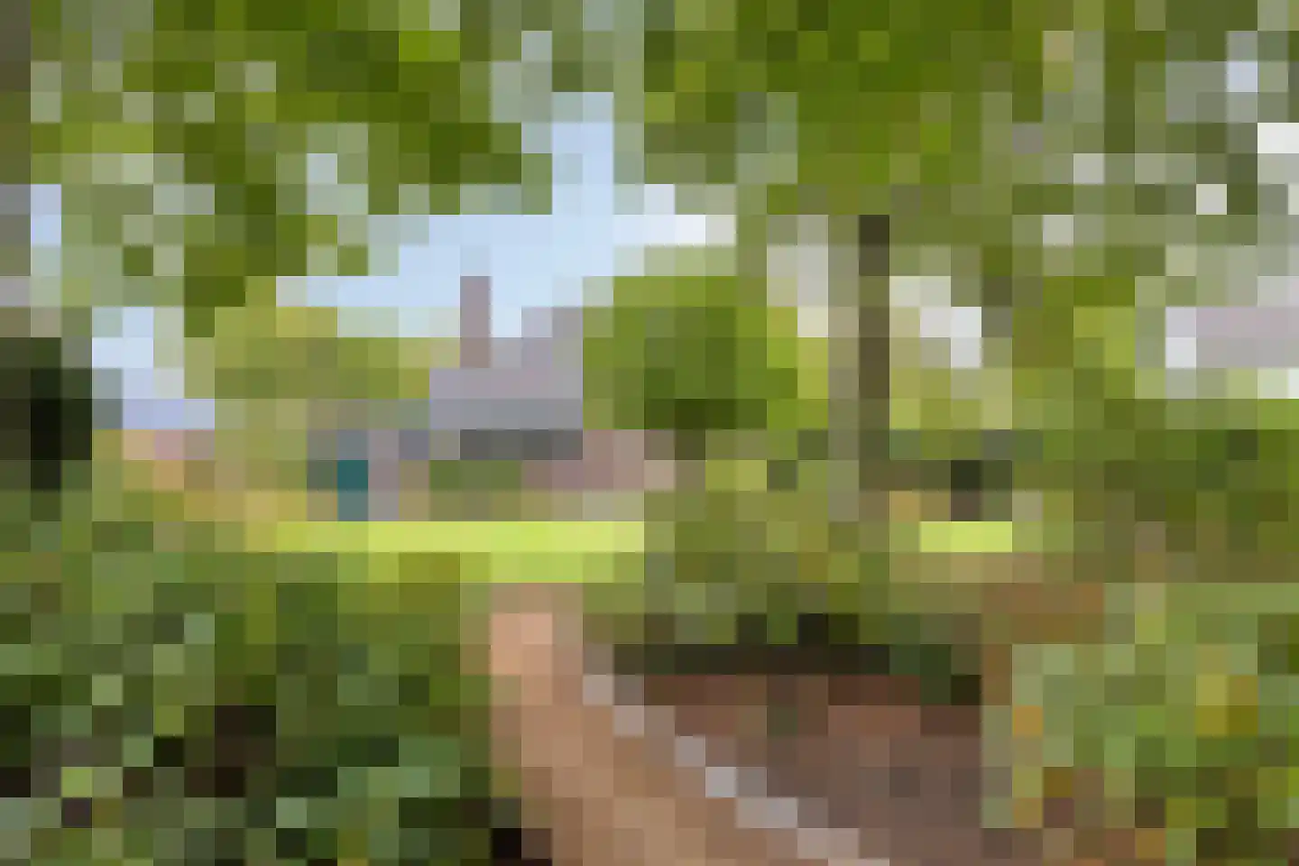 van Hövellstraat 20 Helden thumbnail 61
