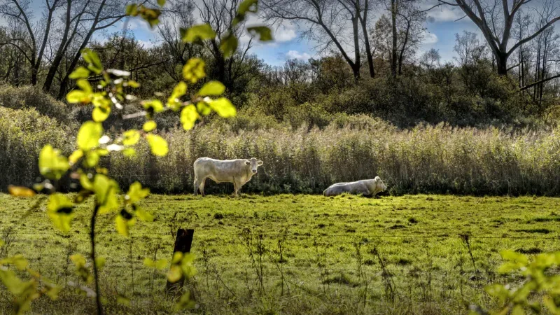 Kantoor foto van Van Hoven & Oomen - Van der Slikke