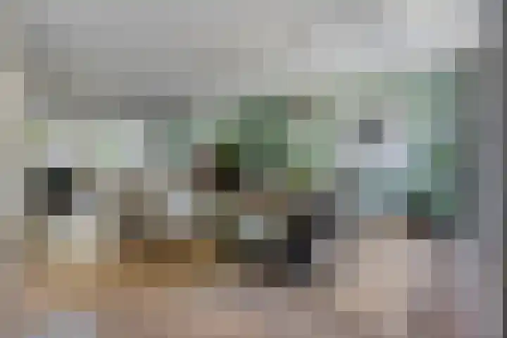 Van Hovengaarde 6 Nuenen thumbnail 19