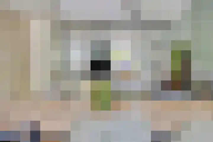 Van Hovengaarde 6 Nuenen thumbnail 22