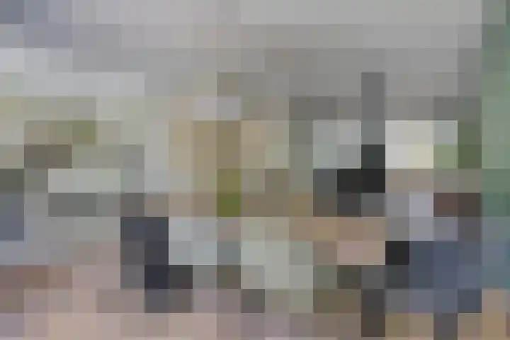 Van Hovengaarde 6 Nuenen thumbnail 24