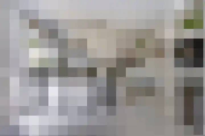 Van Hovengaarde 6 Nuenen thumbnail 26