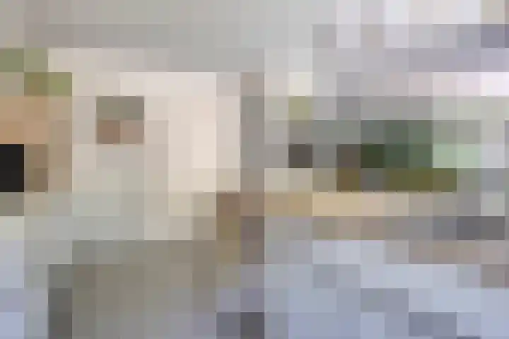 Van Hovengaarde 6 Nuenen thumbnail 29