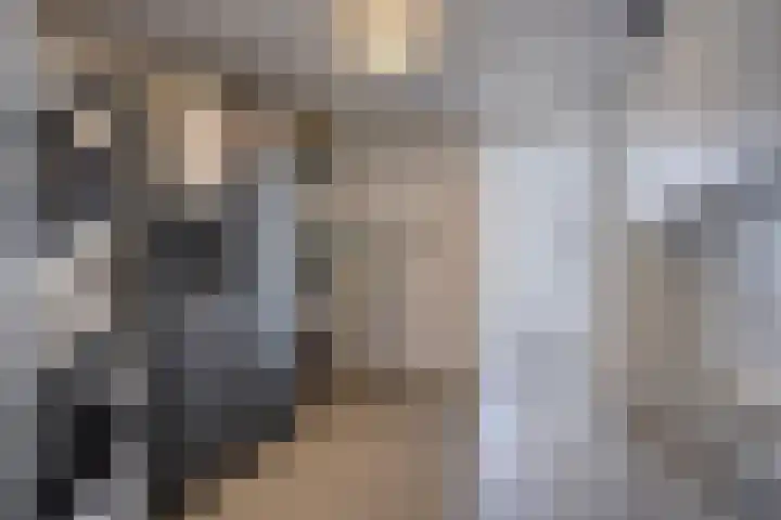 Van Hovengaarde 6 Nuenen thumbnail 32