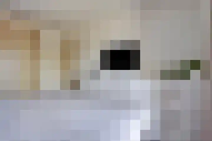 Van Hovengaarde 6 Nuenen thumbnail 36