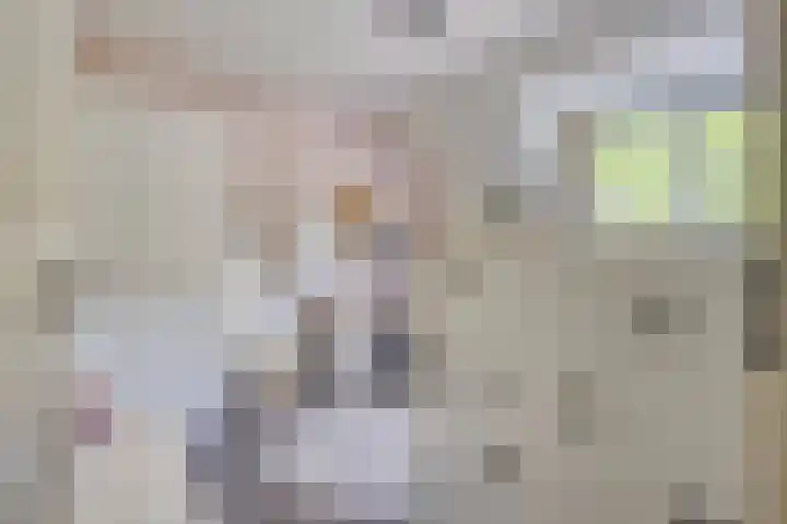 Van Hovengaarde 6 Nuenen thumbnail 39