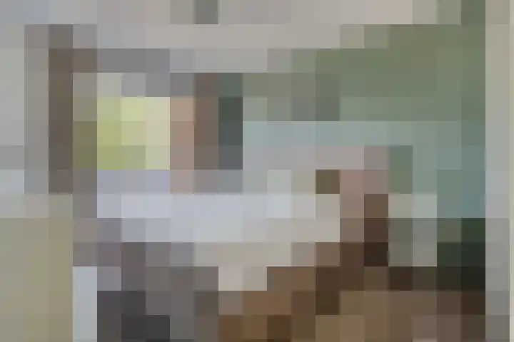 Van Hovengaarde 6 Nuenen thumbnail 4