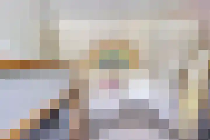 Van Hovengaarde 6 Nuenen thumbnail 41