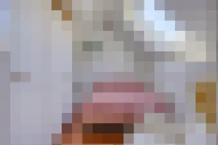 Van Hovengaarde 6 Nuenen thumbnail 47