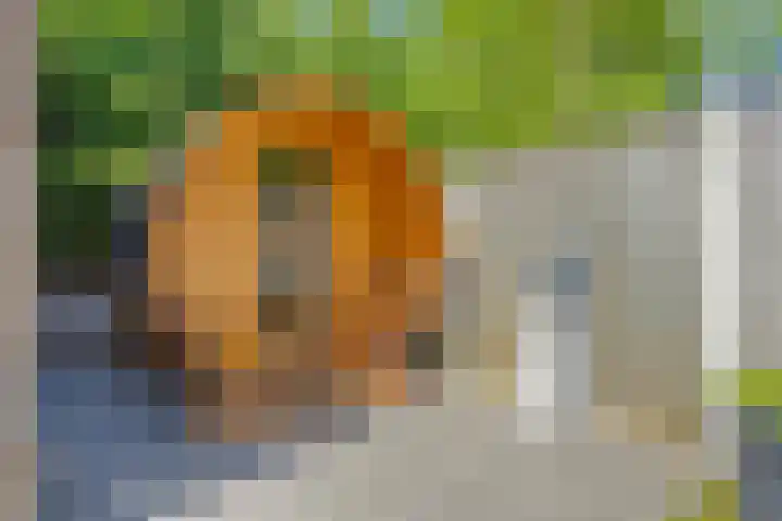 Van Hovengaarde 6 Nuenen thumbnail 52