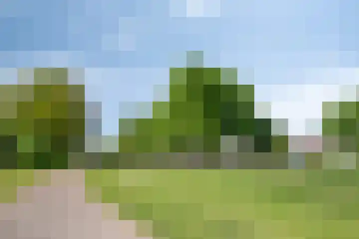 Van Hovengaarde 6 Nuenen thumbnail 57