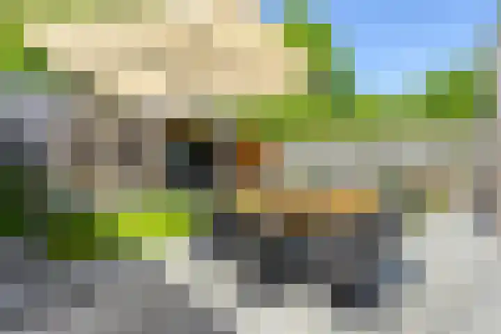 Van Hovengaarde 6 Nuenen thumbnail 6