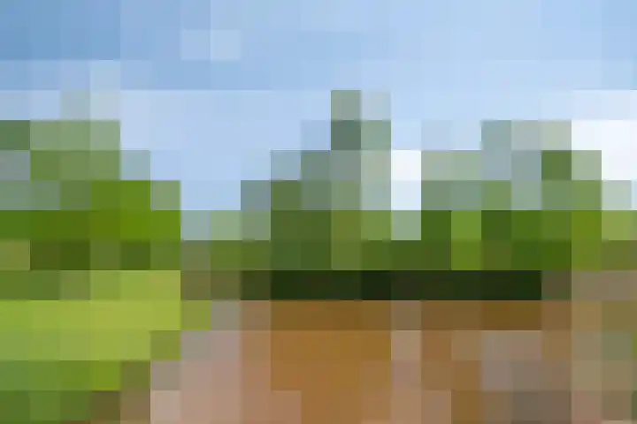 Van Hovengaarde 6 Nuenen thumbnail 60