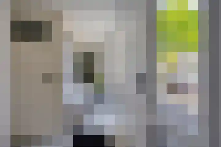 Van Hovengaarde 6 Nuenen thumbnail 8