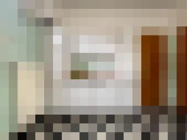 Van Hovestraat 13 Sint Jansteen thumbnail 14