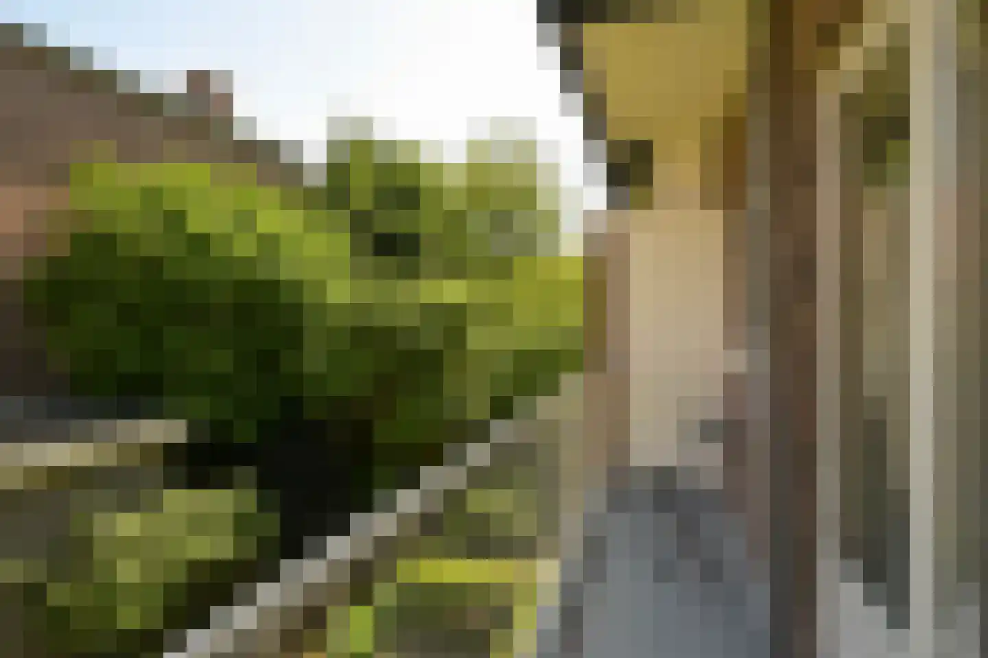 Van Hoytemastraat 1 F Den Haag thumbnail 27