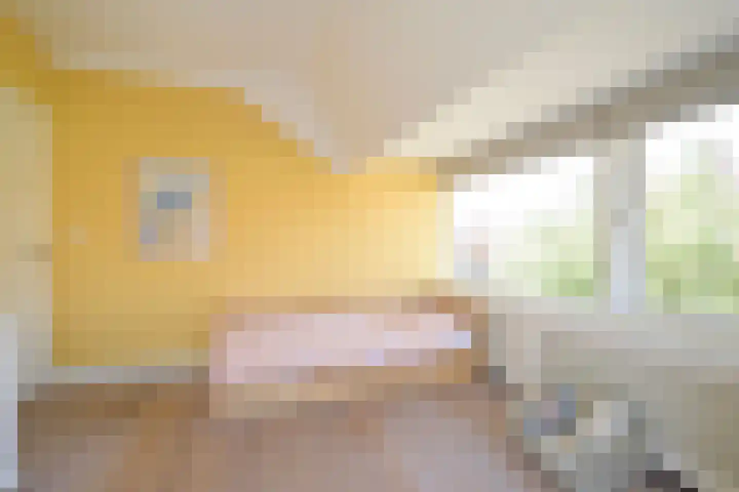 Van Hoytemastraat 1 F Den Haag thumbnail 33