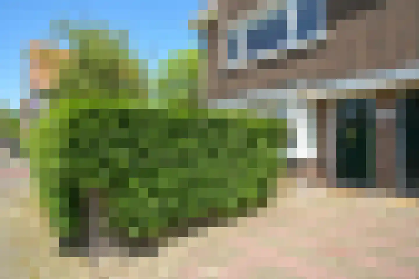 Van Hoytemastraat 1 F Den Haag thumbnail 5