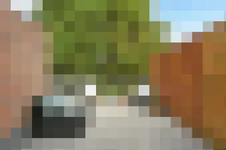 Van Hoytemastraat 87 Den Haag thumbnail 17