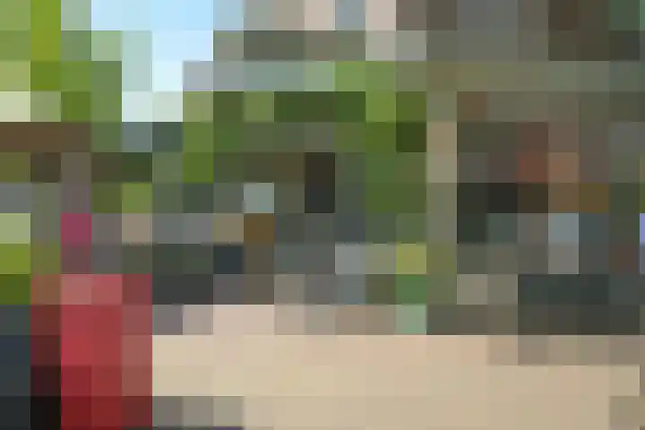 Van Hoytemastraat 87 Den Haag thumbnail 32